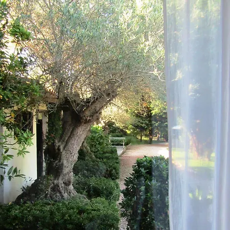 Palacio De La Pena Cantabria Ajo